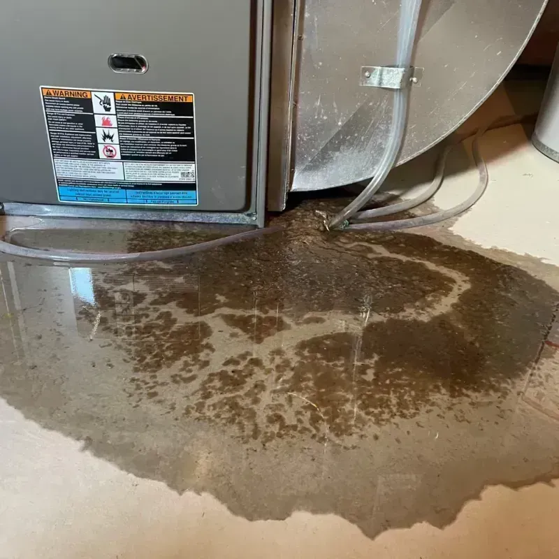 Appliance Leak Cleanup in Clinton, SC